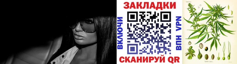 Где продают наркотики Шилка КОКАИН  Псилоцибиновые грибы  ГАШ  APVP  Канабис  Мефедрон 