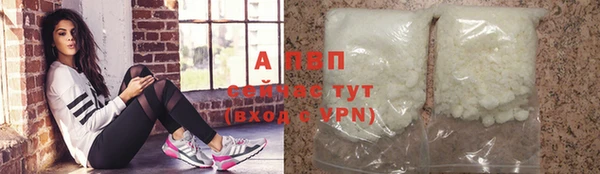 крисы Магас