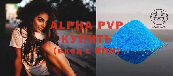 крисы Магас