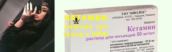 крисы Магас