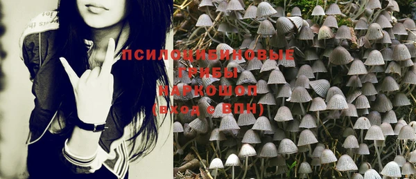 jwh Лиски