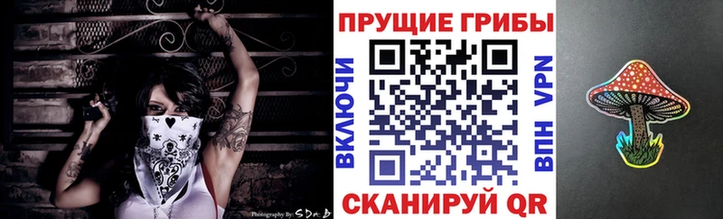 наркошоп  Шилка  Галлюциногенные грибы GOLDEN TEACHER 